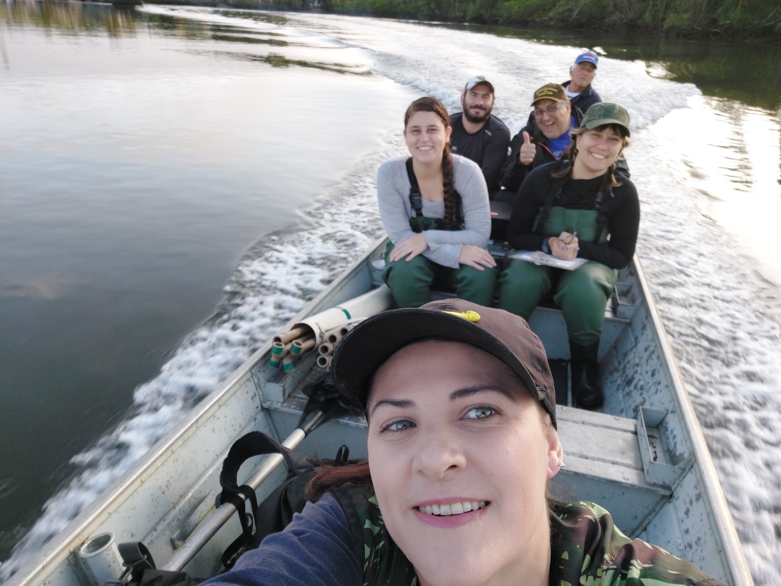 Densidade do caranguejo-uçá (Ucides cordatus) e a Contaminação por Metais nos Manguezais do Sistema Estuarino de Itanhaém (SP), Brasil.